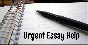 Urgent Essay Help Online â€“ Urgent Custom Essay Writing Service